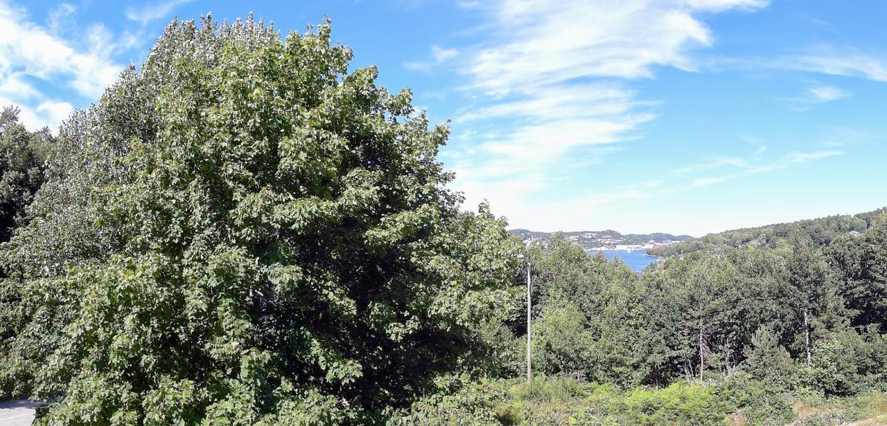 Apartament Tromoy Arendal Zewnętrze zdjęcie